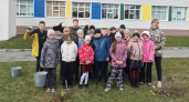 В Елизовском округе заложили «Сад памяти»