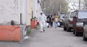 На Камчатке управляющие компании травят крыс в подвалах и у мусорных баков