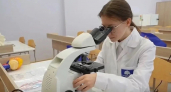 В школах Петропавловска-Камчатского открывают предпрофклассы