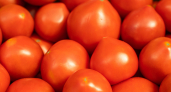 Розовые против красных: какие помидоры вкуснее и почему - рассказываем все секреты