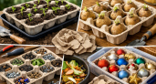 5 полезных способов использовать коробки для яиц на даче и дома: Скупаю на Ozon