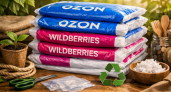 Платить меньше с 5 августа: Wildberries и Ozon принимают для себя важное решение