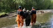 Пожилая пара рыбаков застряла в заломе на реке Аваче на Камчатке
