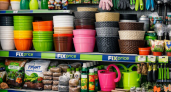 Нахожу пластиковые горшки за 20 рублей в Fix Price: 5 неочевидных способов использовать их