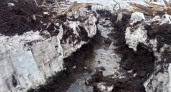 На Камчатке молочное предприятие оштрафовали за слив отходов на почву