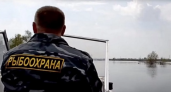 Браконьеров с 22 нерками задержали на озере Дальнем в Вилючинске