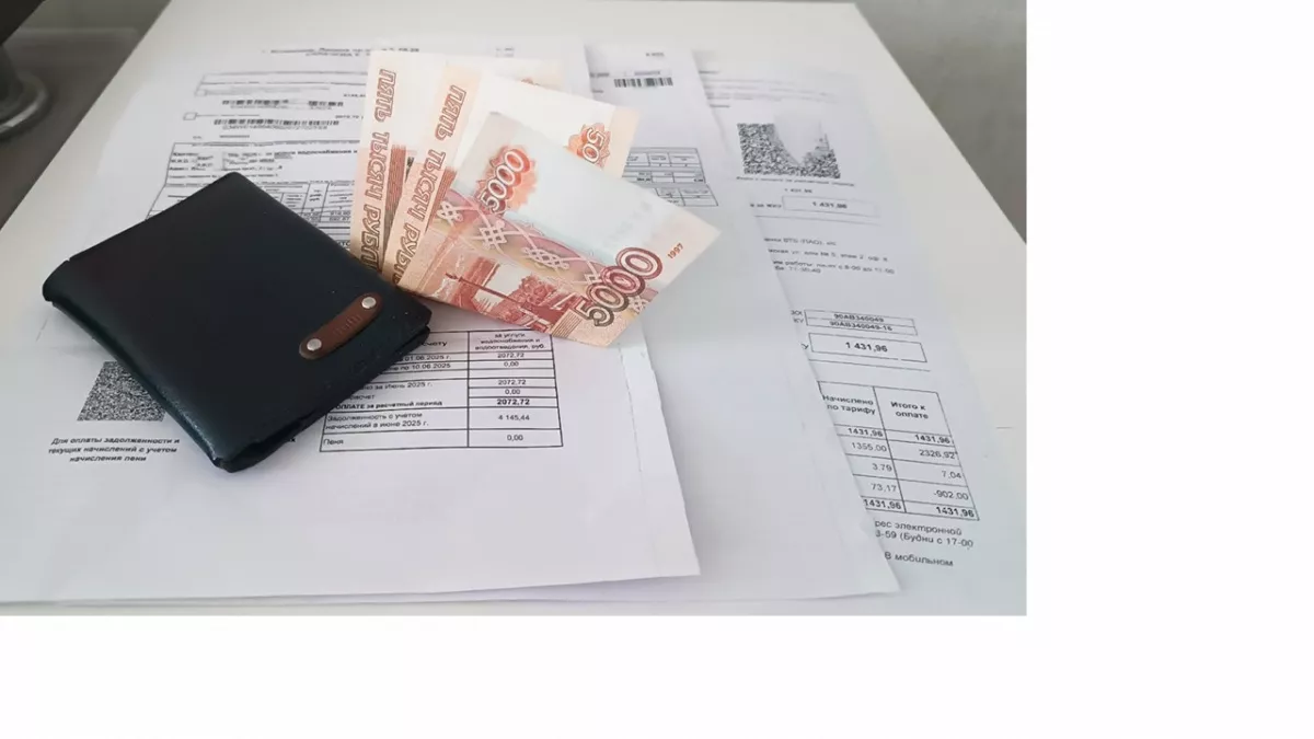 С 96 камчатских бизнесменов не взяли плату за аренду из-за неубранного снега