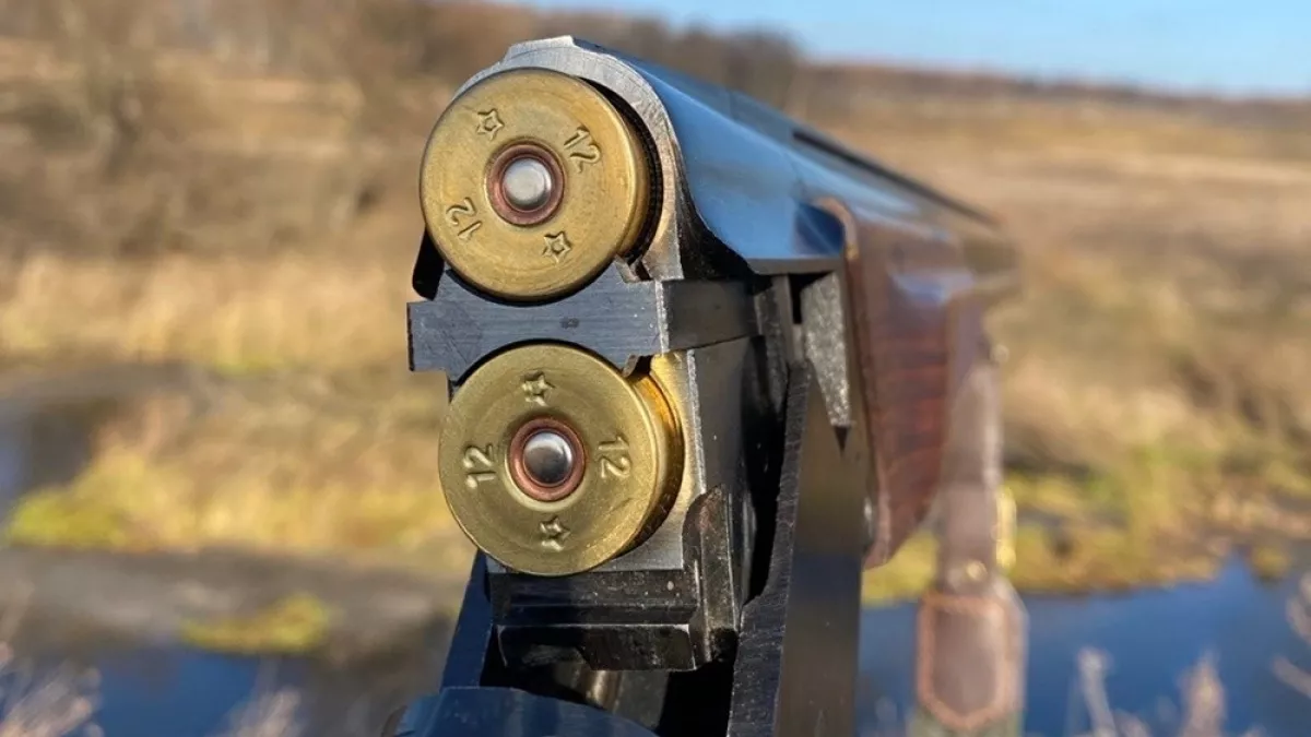 Застрелившего соседскую собаку елизовчанина осудят по уголовной статье