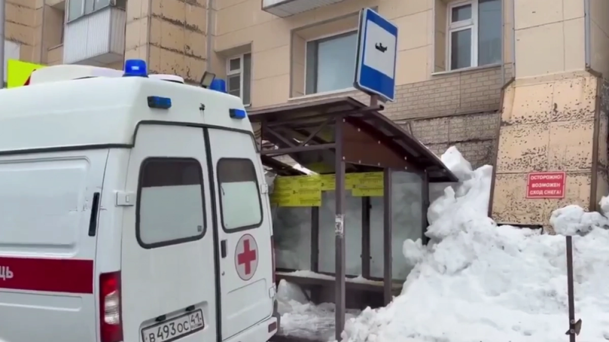 На Камчатке задержали директора УК после падения льда с крыши на женщину