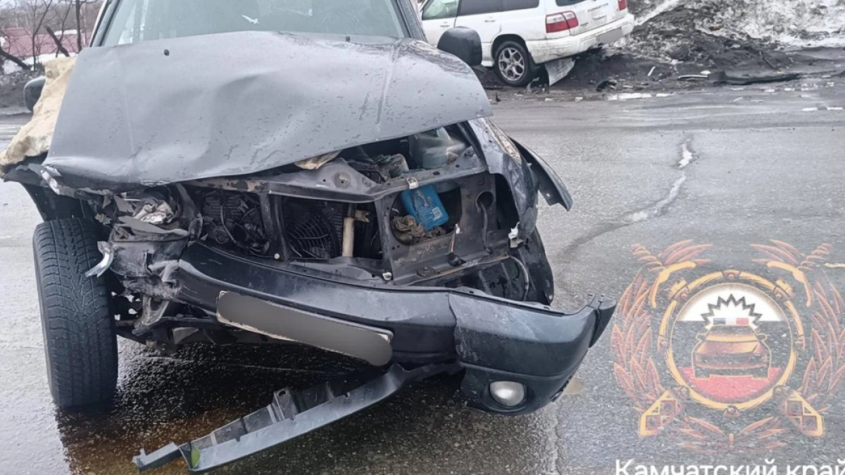 В Елизове 73-летний водитель при повороте не уступил дорогу и устроил ДТП