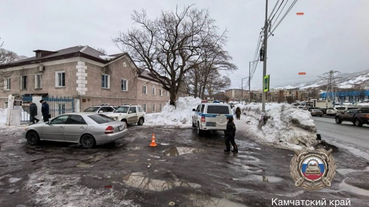 В Петропавловске-Камчатском на «зебре» сбили 66-летнюю женщину
