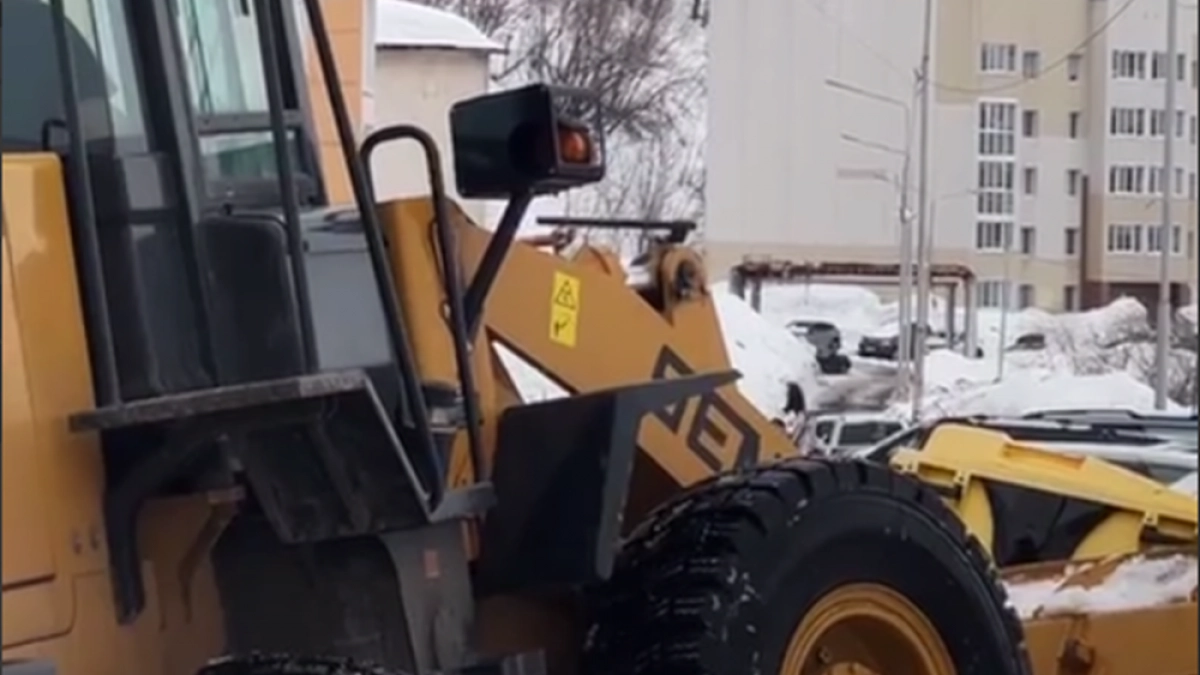 Власти Камчатки ускорят снос домов и решат проблему бездомных собак в Вилючинске