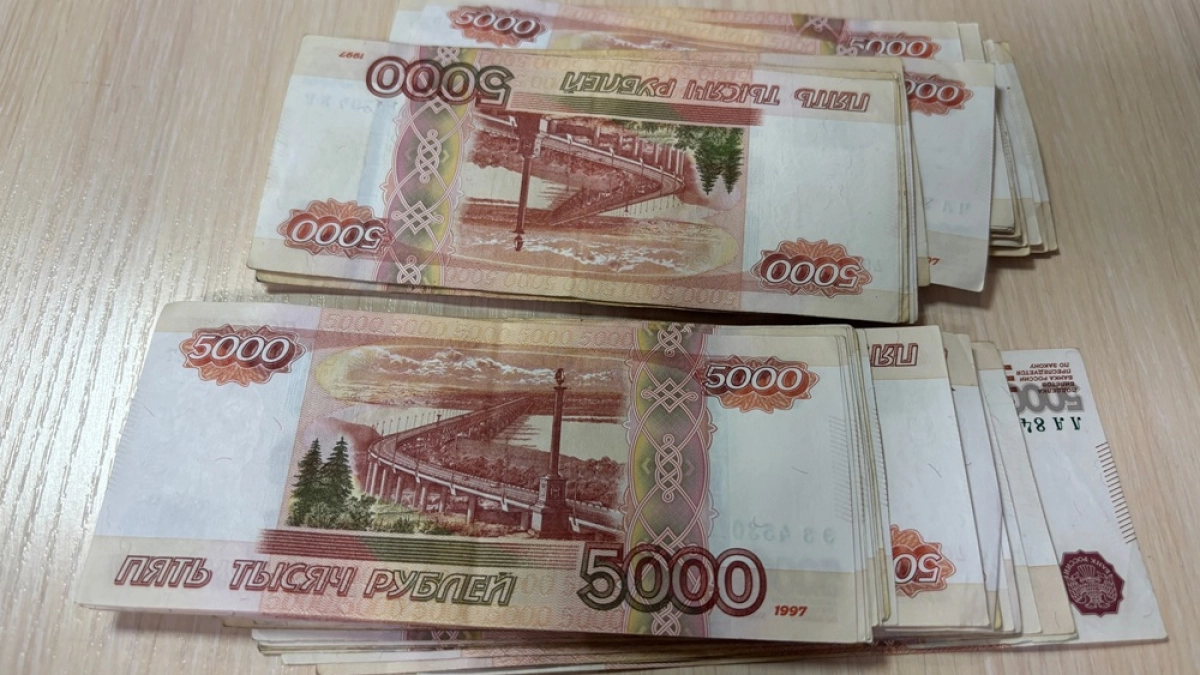 Директор камчатской фирмы почти 4 млн рублей налогов через подставные счета