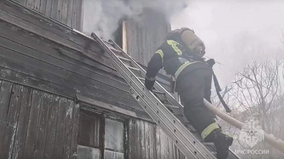 В Петропавловске на пожаре в деревянном доме сотрудники МЧС спасли людей и собак