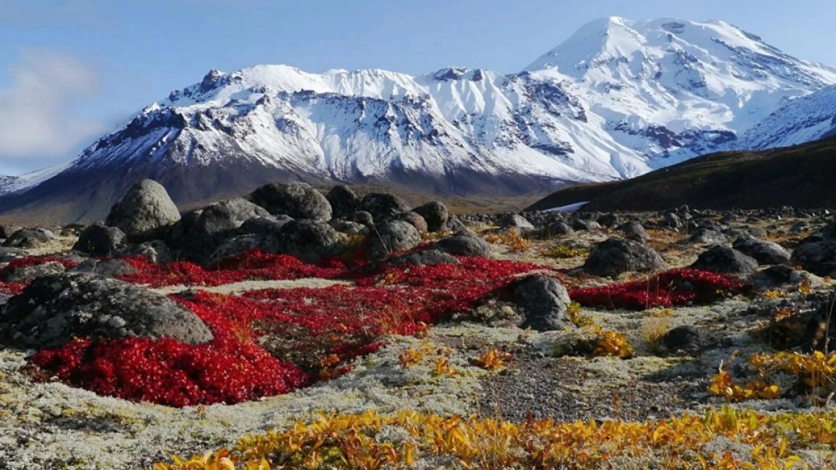 Камчатка вошла в топ-15 регионов России по росту инвестиций в 2025 году