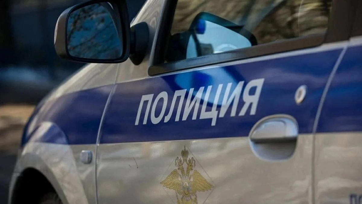 В Вилючинске полиция нашла повредившую чужую иномарку женщину