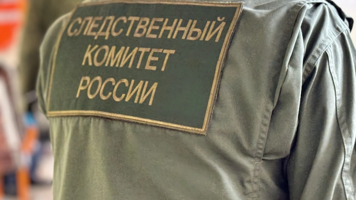 На Камчатке водитель с неисправной иномаркой сбил девочку