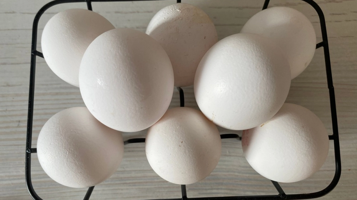 Яйцо птицефабрики «Пионерское» в «Агротеке» можно купить по социальной цене