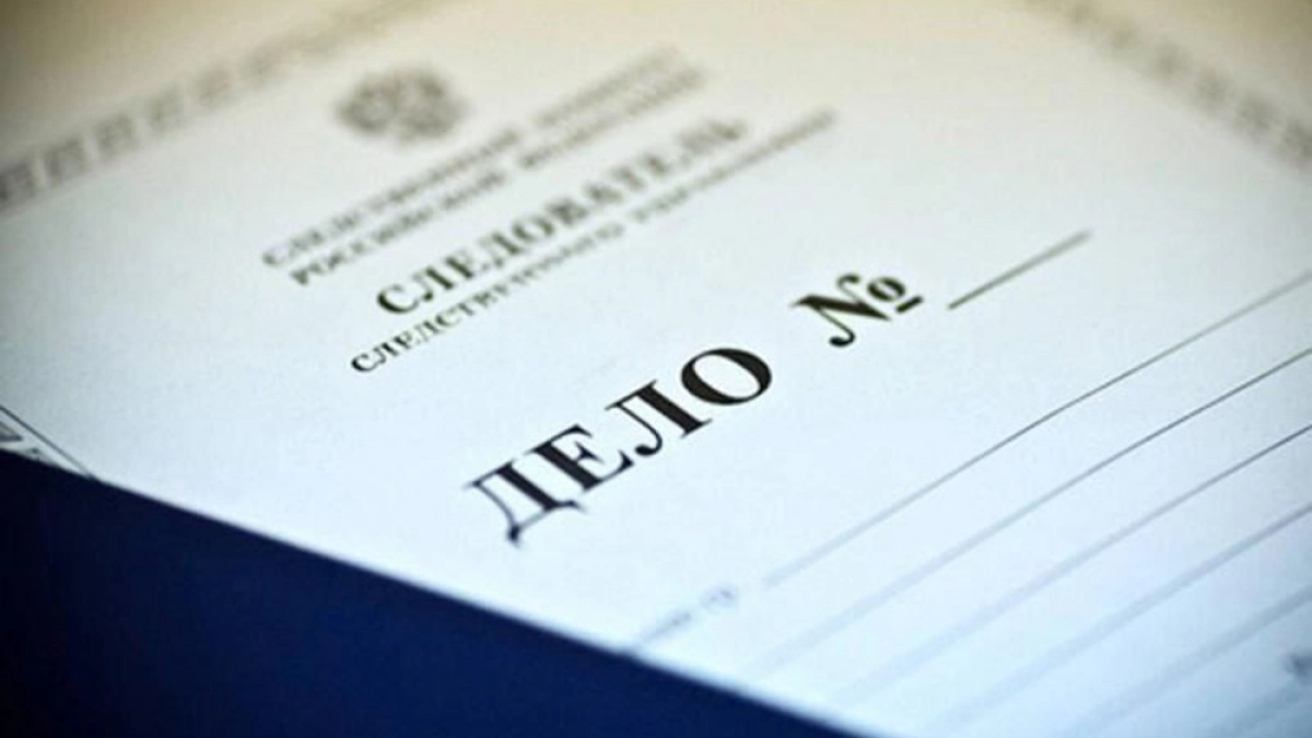 На Камчатке сотрудницу опеки обвинили в халатности из-за девочки-сироты