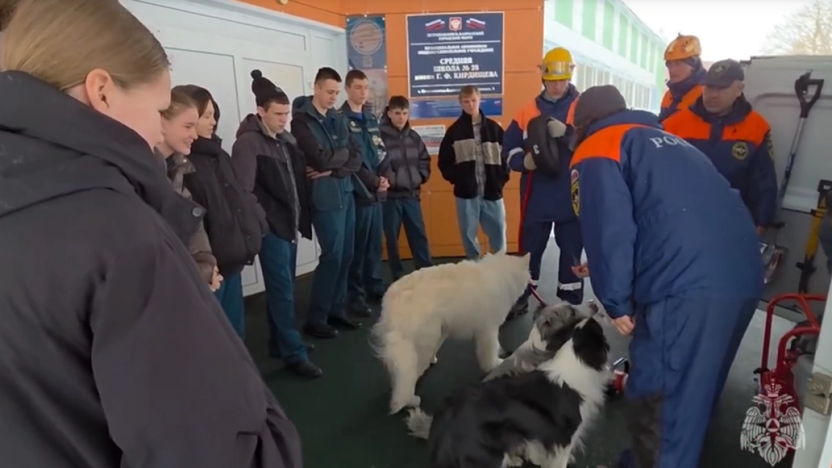 Камчатские спасатели и собаки показали школьникам свою работу