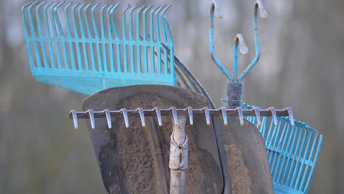 Камчатцев зовут на субботник 25 апреля для уборки парков и скверов