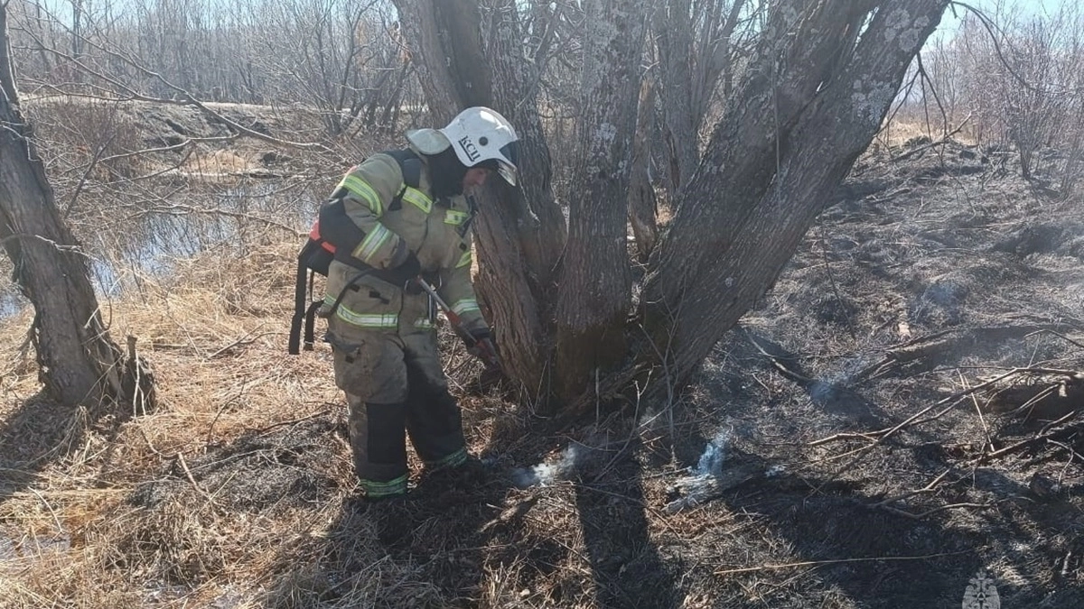 На Камчатке с 1 мая начнется пожароопасный сезон
