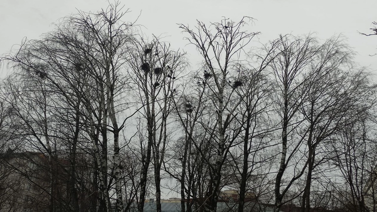 Май - 2026 отменяет шашлыки? Синоптики обновили прогноз погоды на последний весенний месяц — что нас ждет