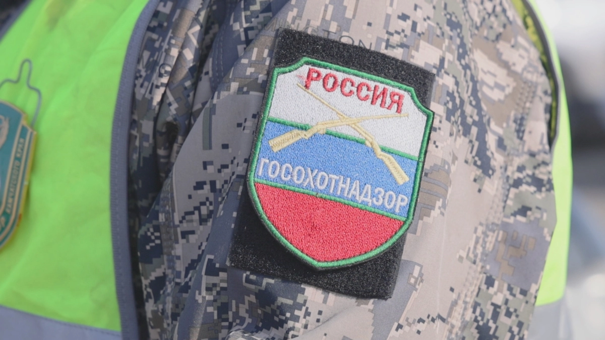 На Камчатке прошли учения по отработке действий при выходе медведя в город