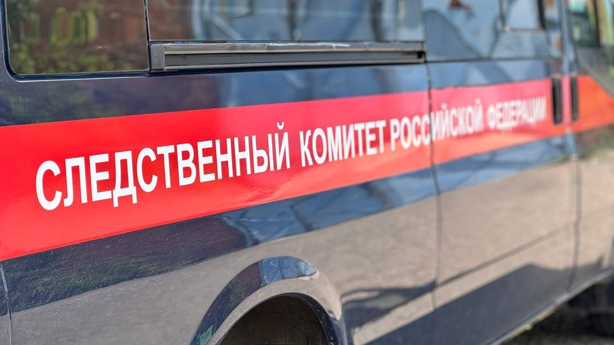 71-летний житель Петропавловска расправился с соседом из-за давнего конфликта
