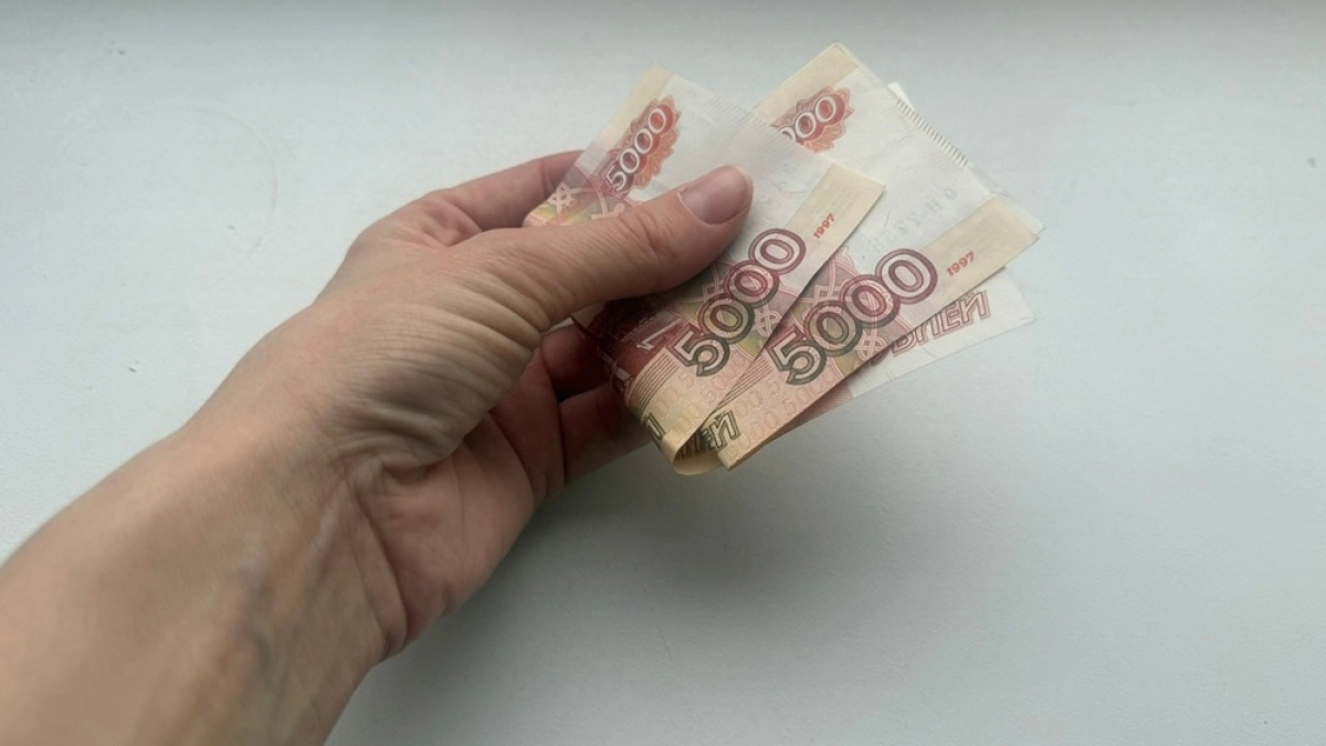 Эксперт из Нижнего Новгорода брал взятки за аккредитацию на Камчатке