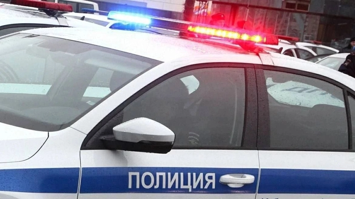 Иностранец без прав устроил погоню с полицией в Петропавловске и получил штрафы