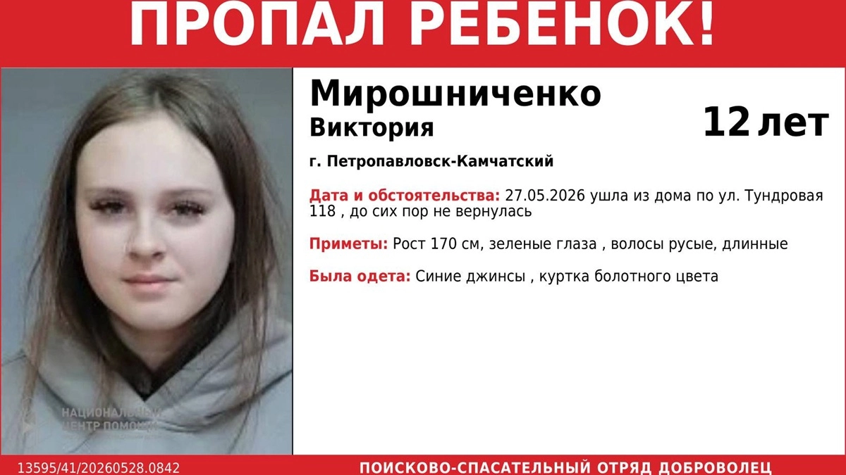 В Петропавловске-Камчатском второй день ищут пропавшую девочку