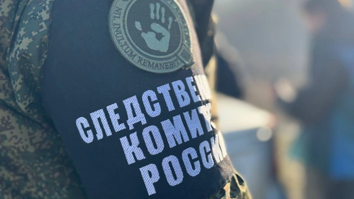 В Елизовском районе завершили расследование дела о расправе над пожилой парой