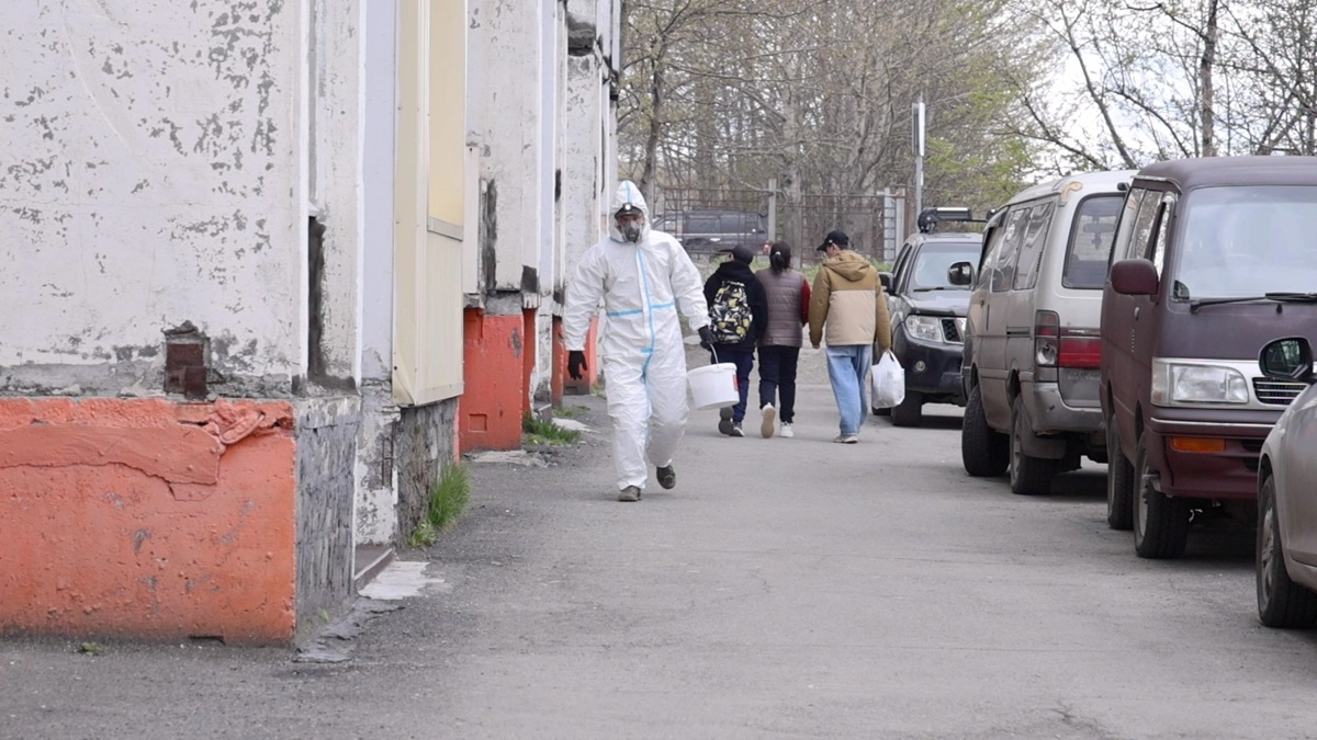 На Камчатке управляющие компании травят крыс в подвалах и у мусорных баков