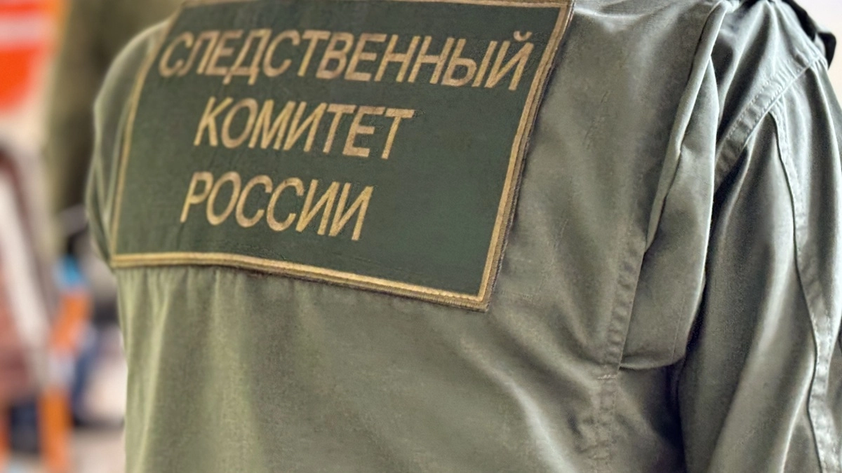 На Камчатке организовали проверку из-за опрокидывания снегохода