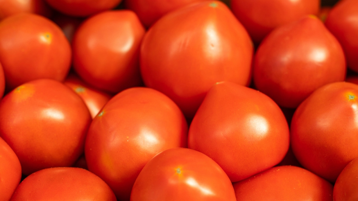 Розовые против красных: какие помидоры вкуснее и почему - рассказываем все секреты