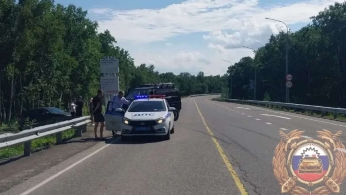 Пять человек пострадали в ДТП на трассе Елизово-Паратунка на Камчатке