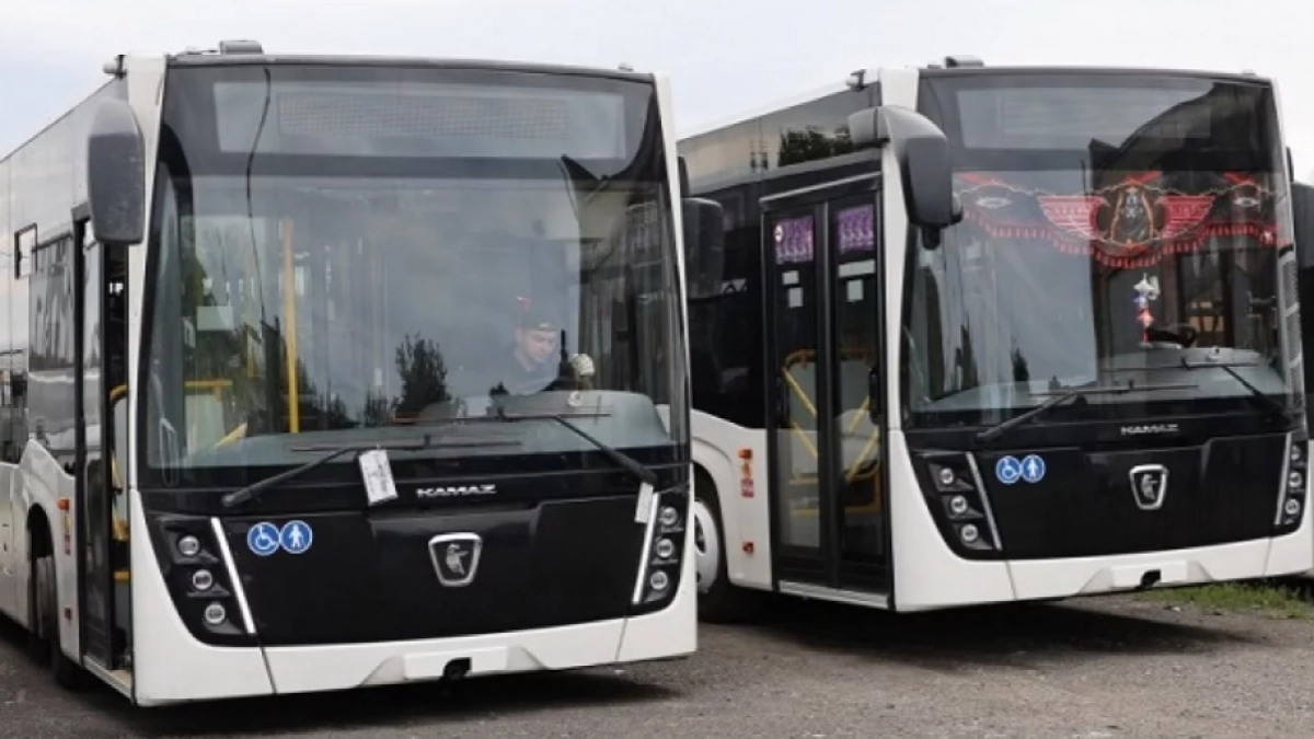 Два новых автобуса выйдут на маршруты в Елизовском округе Камчатки