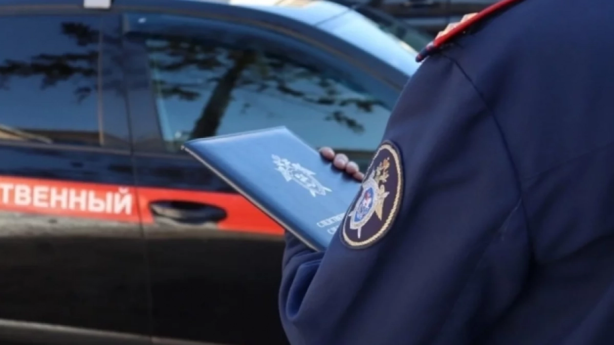 В Елизове возбуждено дело об истязании 4-летней девочки на Камчатке