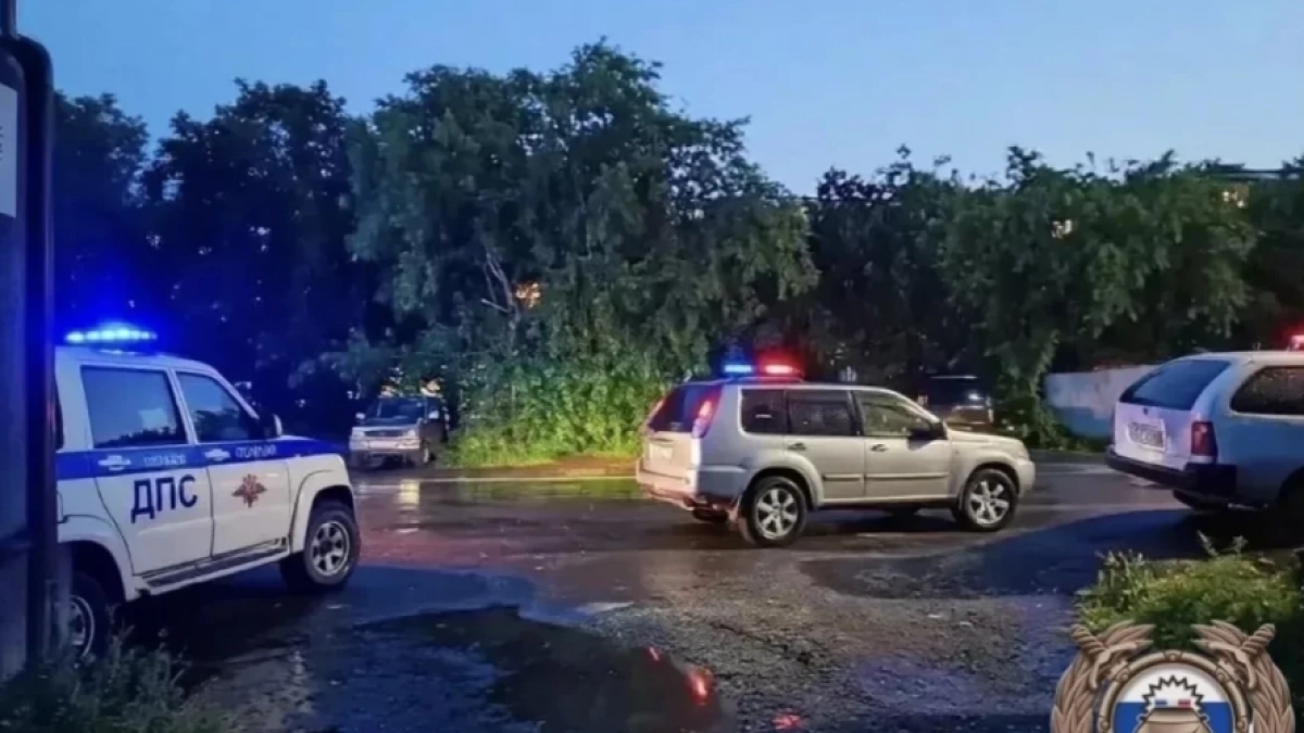 В Петропавловске внедорожник сбил женщину на переходе в районе улицы Абеля