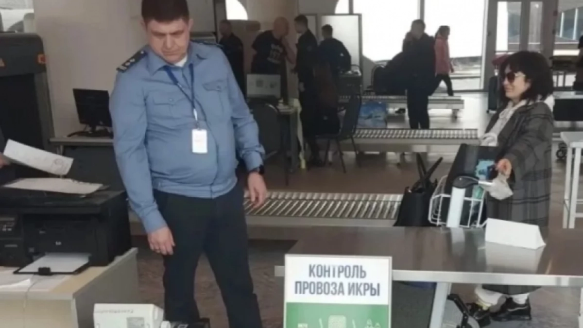 62,5 кг икры сверх лимита пытались вывезти с Камчатки за неделю