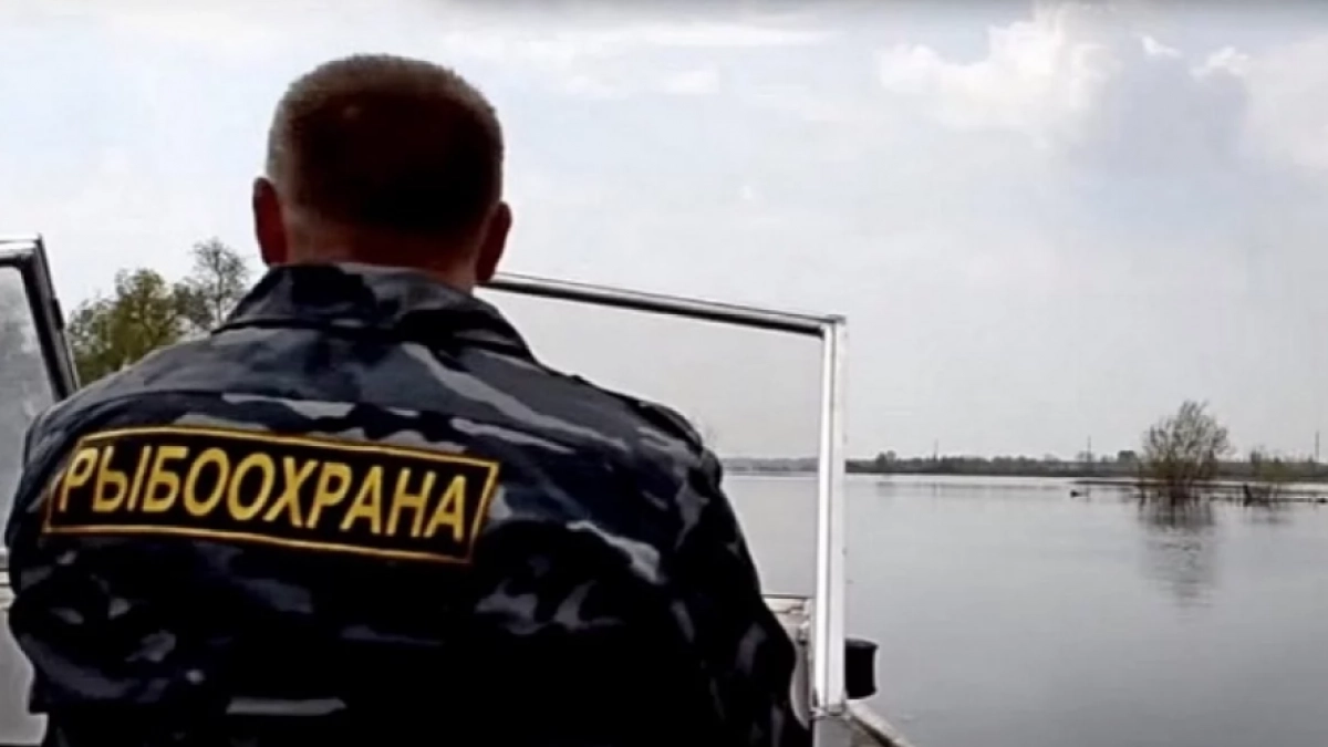 Браконьеров с 22 нерками задержали на озере Дальнем в Вилючинске