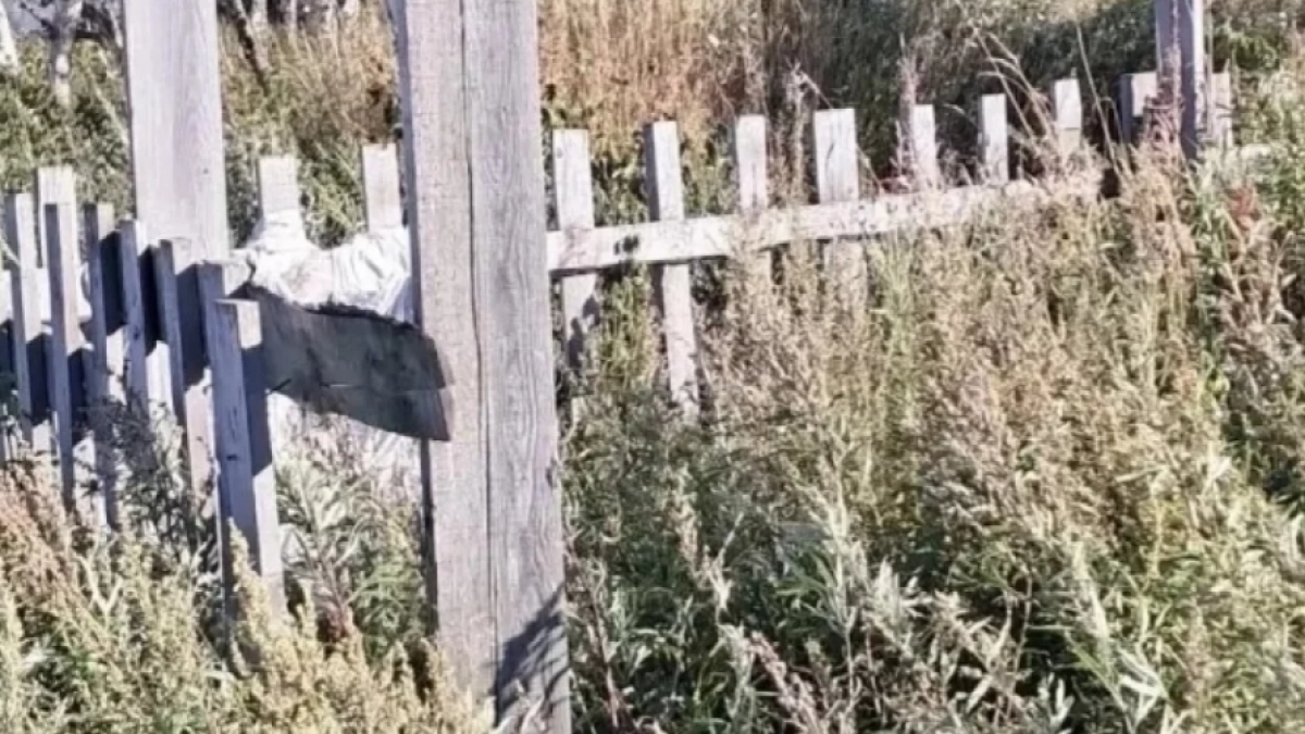 Россельхознадзор нашёл нарушения на двух скотомогильниках в Петропавловске