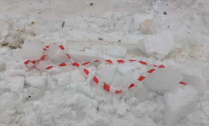 В Петропавловске-Камчатском возбудили дело из-за падения наледи на ребенка
